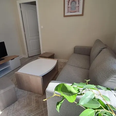 Cosy Et Chaleureux Apartment *